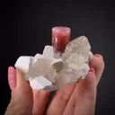 Tourmaline on Quartz with Albite - image 2