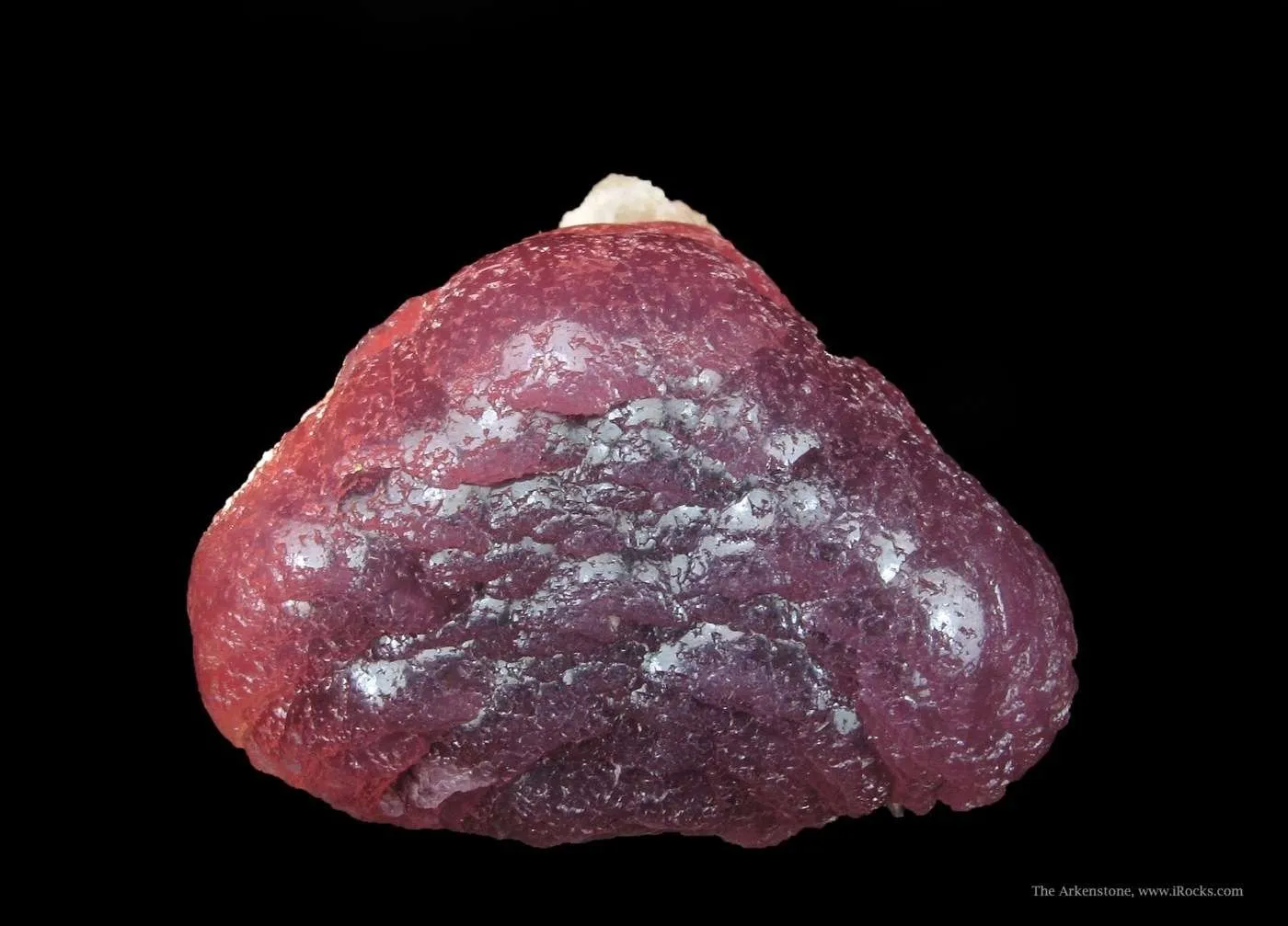 Tourmaline on Schorl - image 6