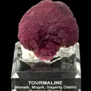 Tourmaline on Schorl - image 3