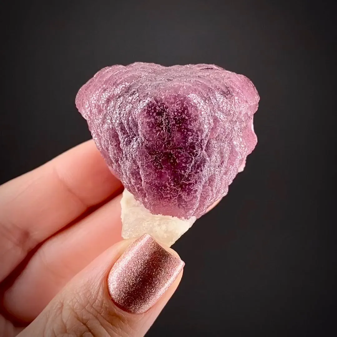 Tourmaline on Schorl - image 2