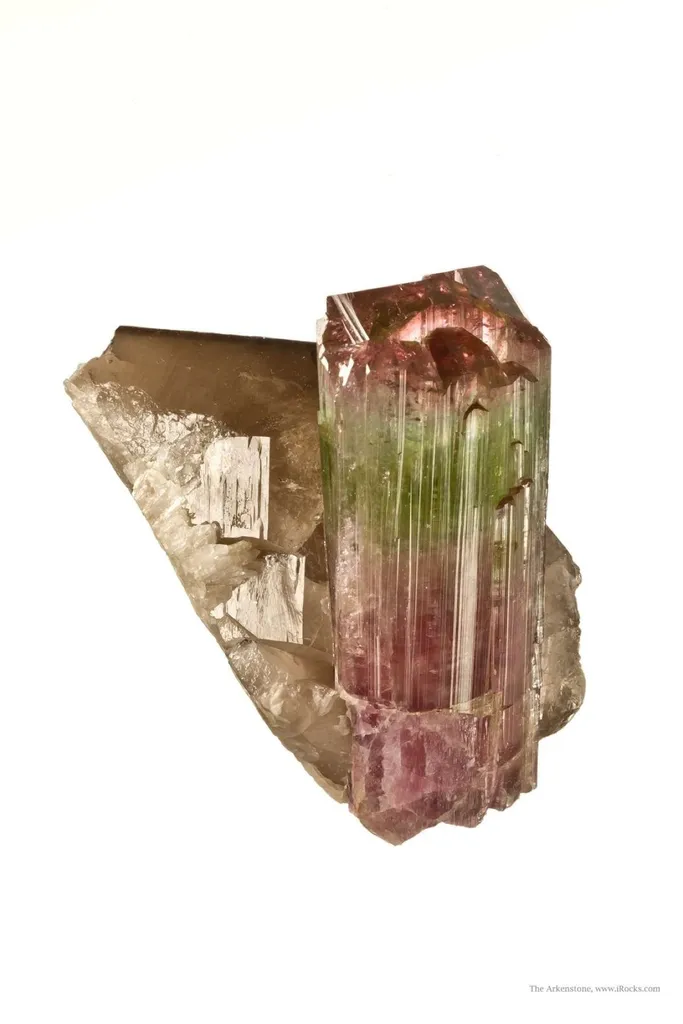 Tourmaline on Smoky Quartz - image 2