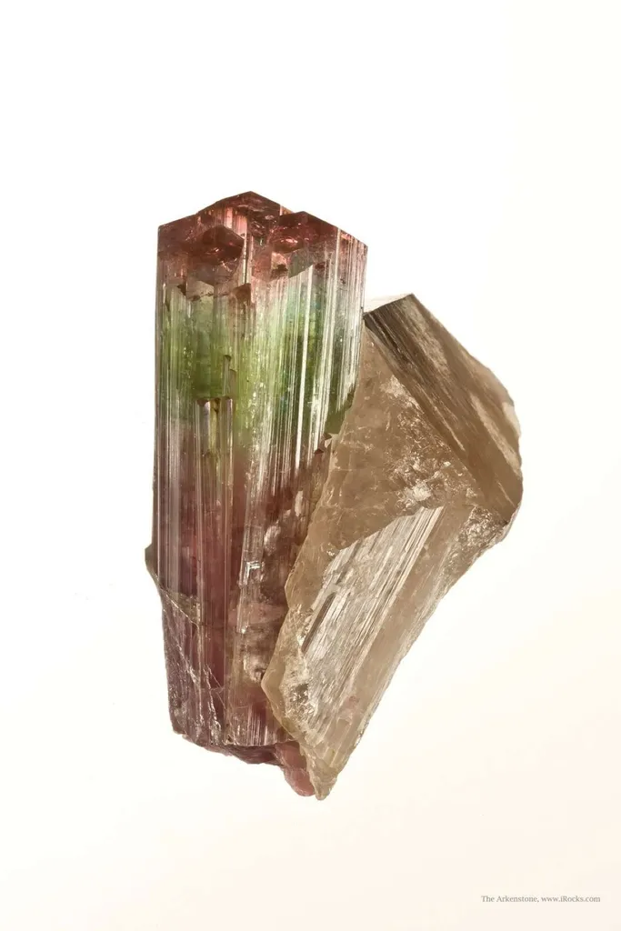 Tourmaline on Smoky Quartz image