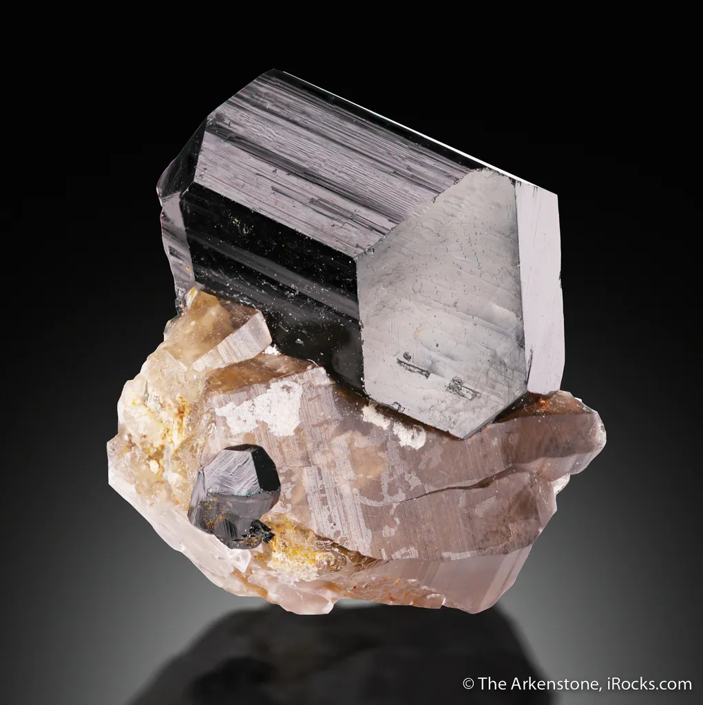 Tourmaline on Smoky Quartz image