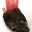 Tourmaline on Smoky Quartz - image 3