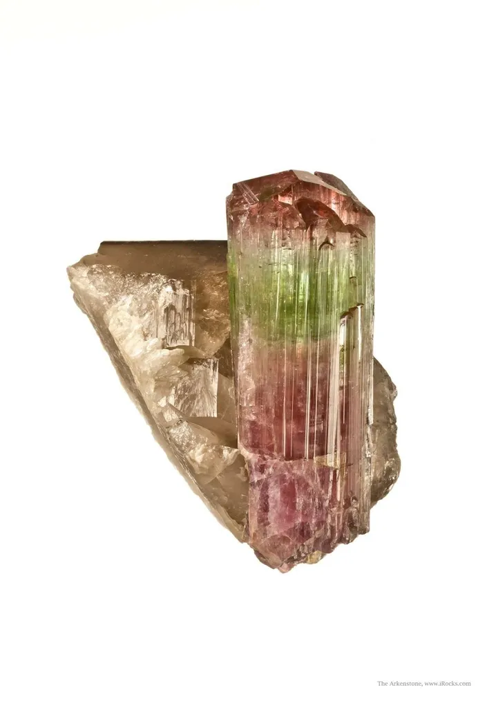 Tourmaline on Smoky Quartz - image 3