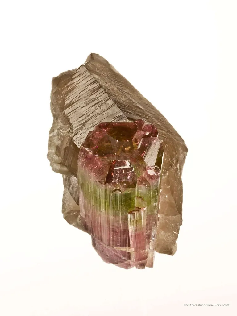 Tourmaline on Smoky Quartz - image 4