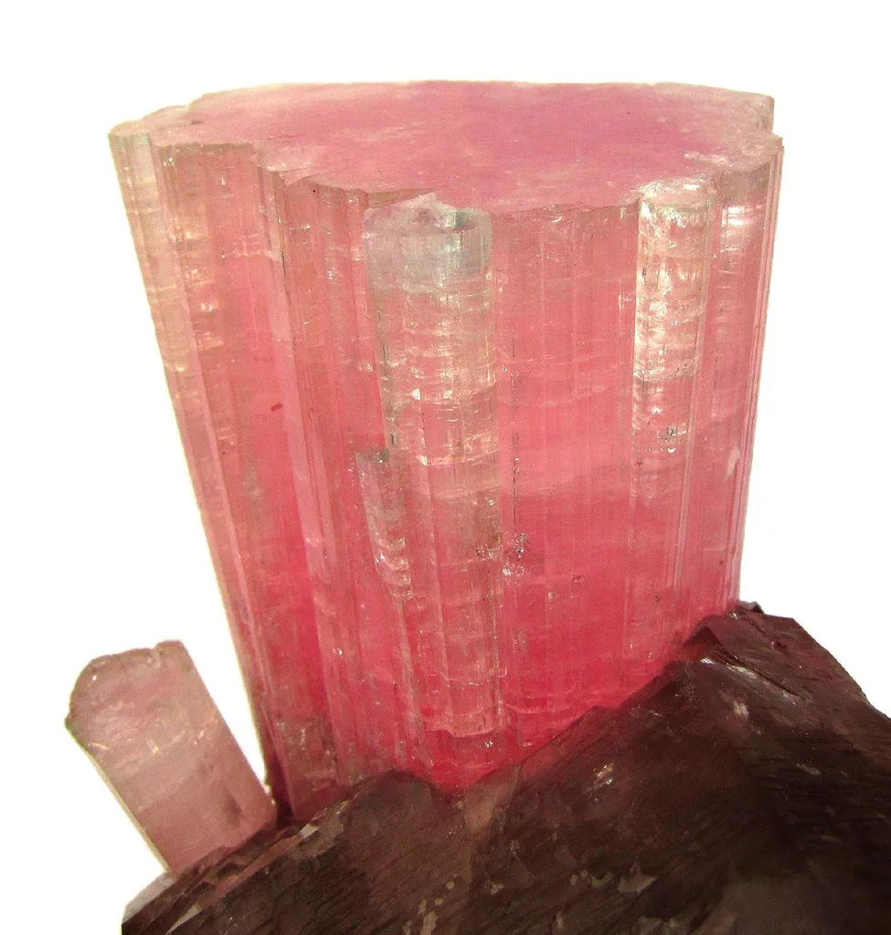 Tourmaline on Smoky Quartz - image 4