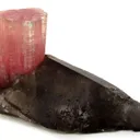 Tourmaline on Smoky Quartz - image 1