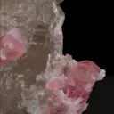 specimen video