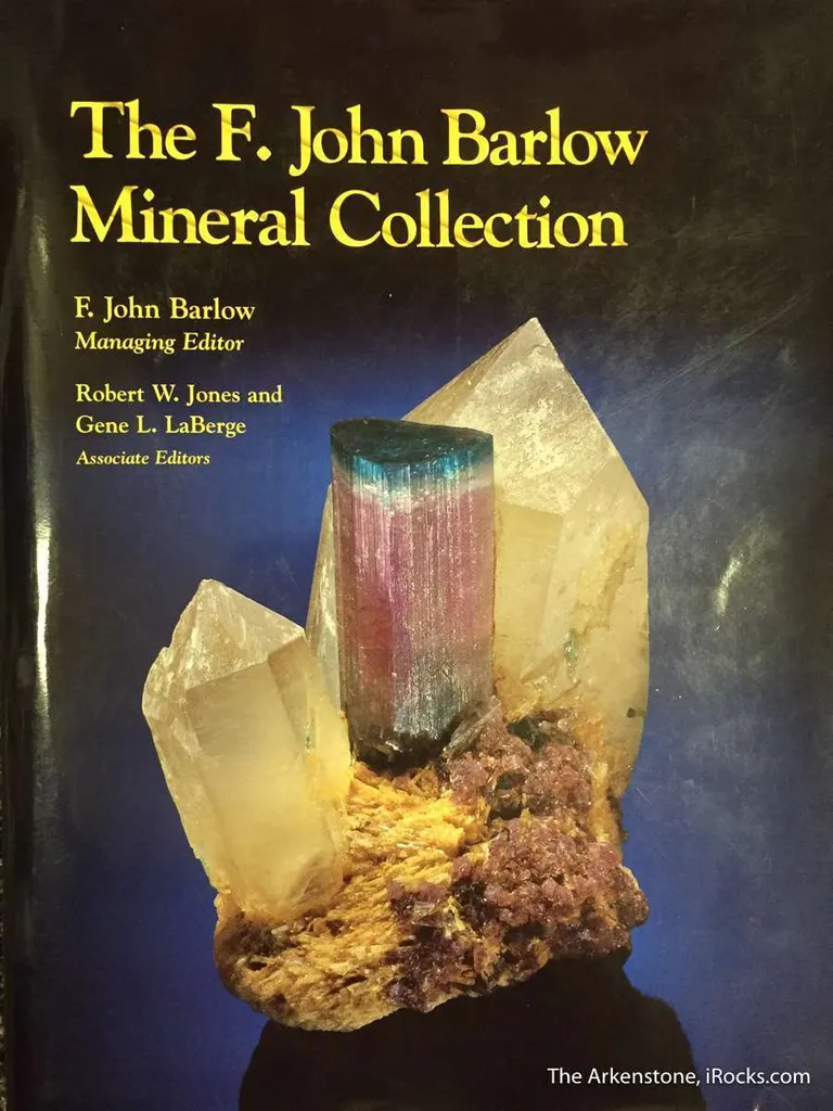 Tourmaline on Spodumene - image 5