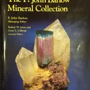 Tourmaline on Spodumene - image 5