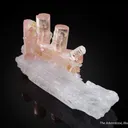 Tourmaline on Spodumene - image 1