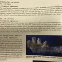 Tourmaline on Spodumene - image 6