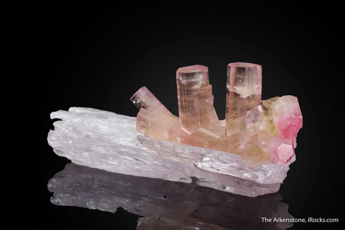 Tourmaline on Spodumene - image 3