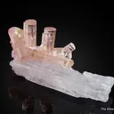 Tourmaline on Spodumene - image 2