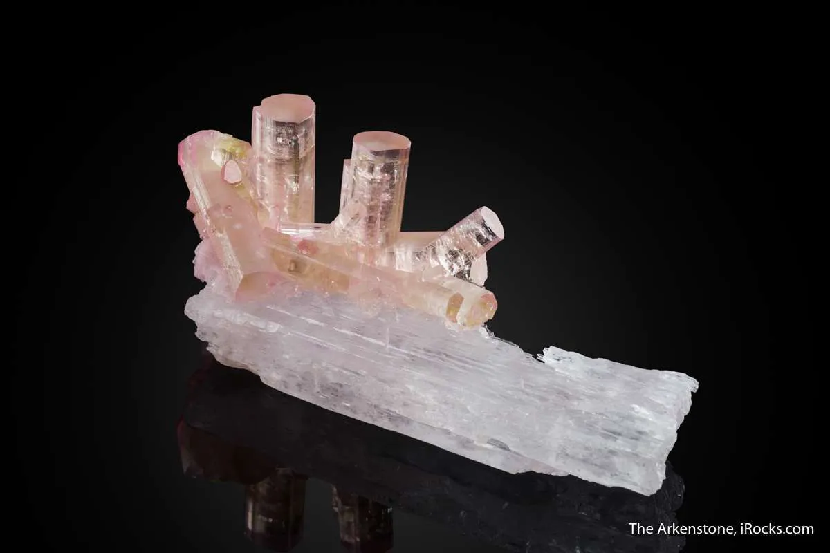 Tourmaline on Spodumene - image 2