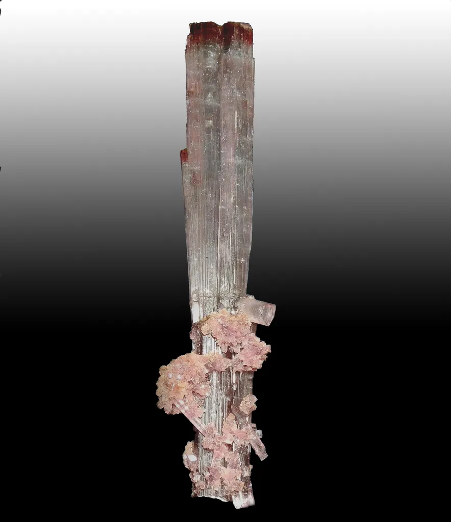 Tourmaline, Perderneira, Brésil image
