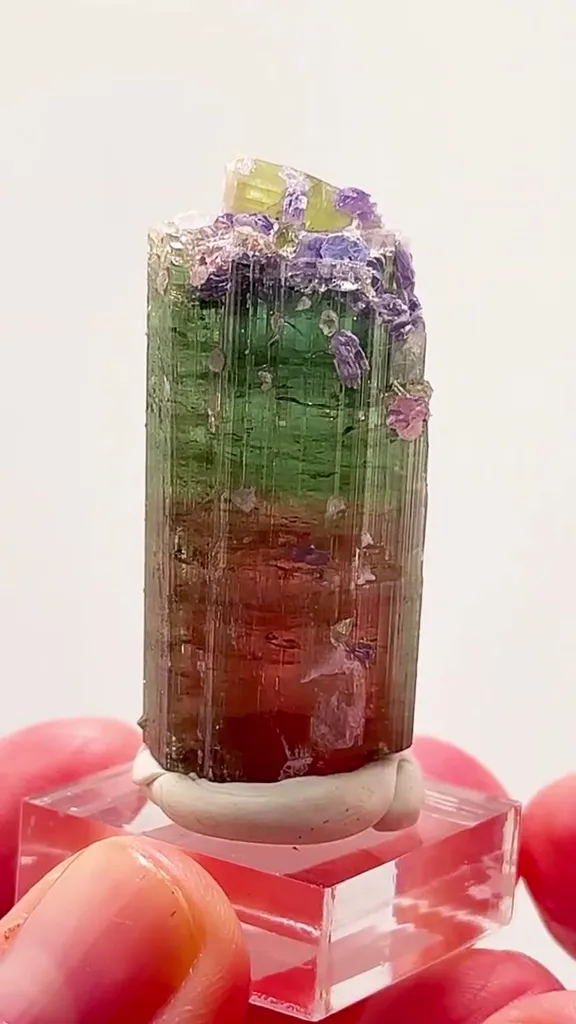 Tourmaline + PURPLE Lepidolite image