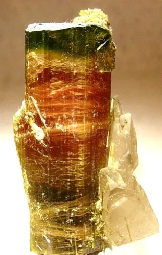 Tourmaline, Quartz image