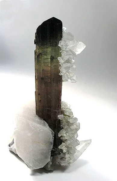 Tourmaline, Quartz image