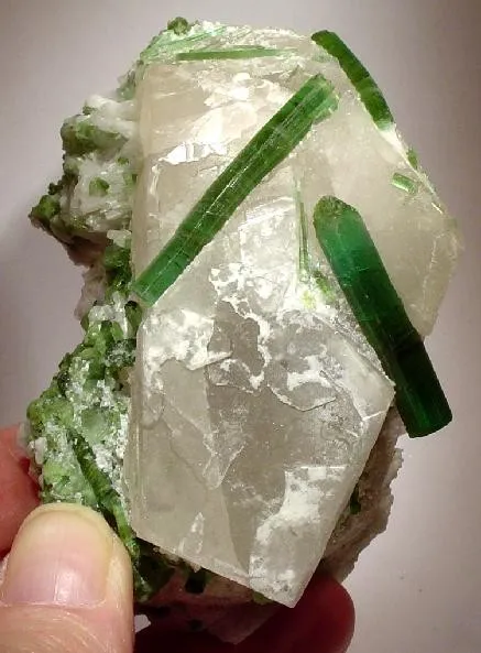 Tourmaline, Quartz, Albite image