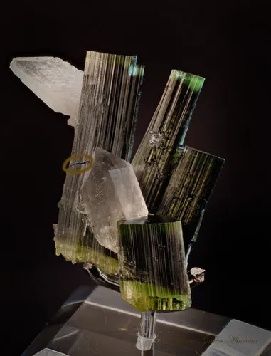 Tourmaline - Quartz-Cleavelandite - image 3
