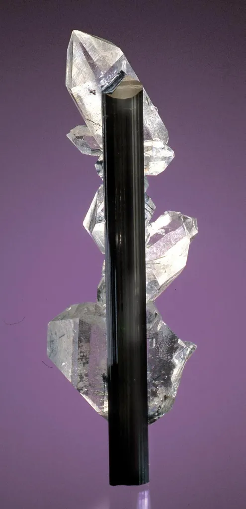 Tourmaline, Quartz image