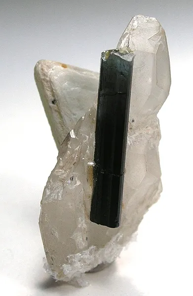Tourmaline, Quartz, Muscovite image