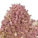 Tourmaline, Quartz, Stibiotantalite - image 3