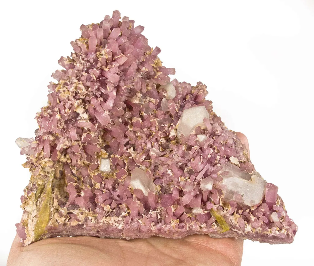 Tourmaline, Quartz, Stibiotantalite image