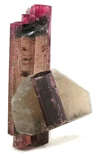 Tourmaline, Quartz (Var: Smoky Quartz) - image 1
