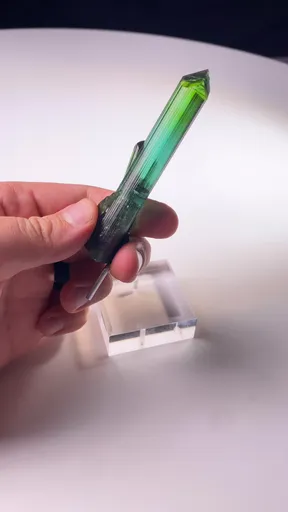 specimen video