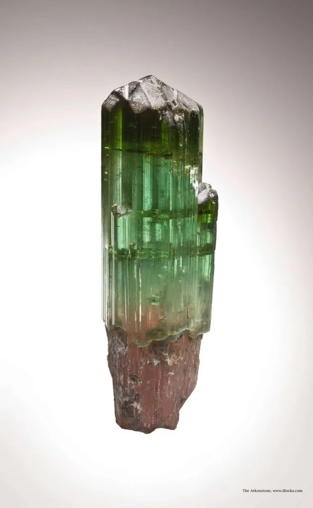 Tourmaline (Scepter) image