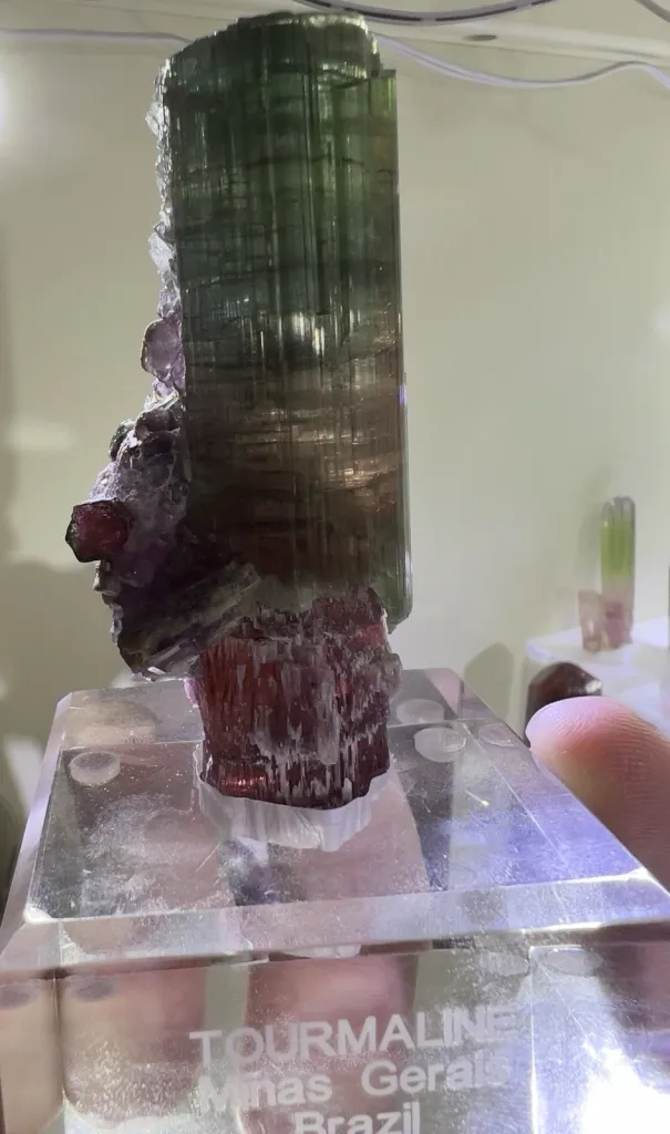 Tourmaline Scepter from Brazil, Minas Gerais - 10101 - image 8