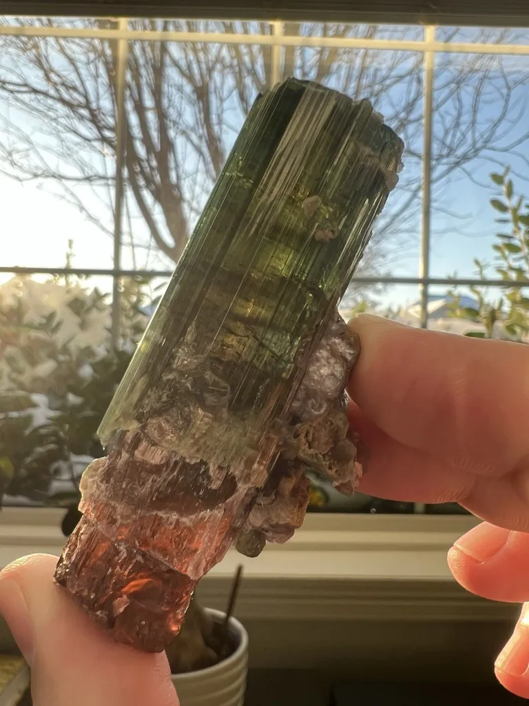 Tourmaline Scepter from Brazil, Minas Gerais - 10101 - image 4
