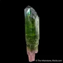 Tourmaline (sceptered) - classic find - image 4