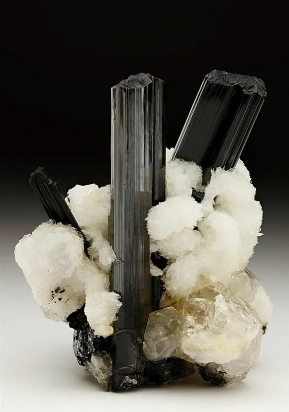 Tourmaline (Schorl) with Quartz and Albite - image 1