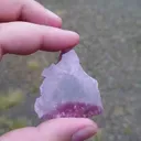 specimen video
