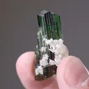 Tourmaline (Vanadian Dravite) - image 2