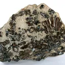 Tourmaline Var. Buergerite - image 1