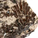 Tourmaline Var. Buergerite - image 3