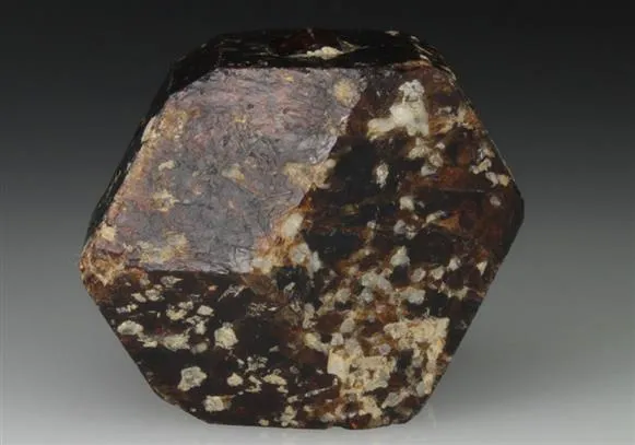 Tourmaline var. Dravite image