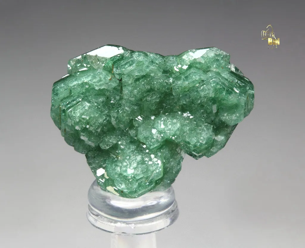 TOURMALINE var. DRAVITE var. CHROMIUM-BEARING DRAVITE rose image