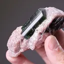 Tourmaline var. Elbaite in Lepidolite - image 2