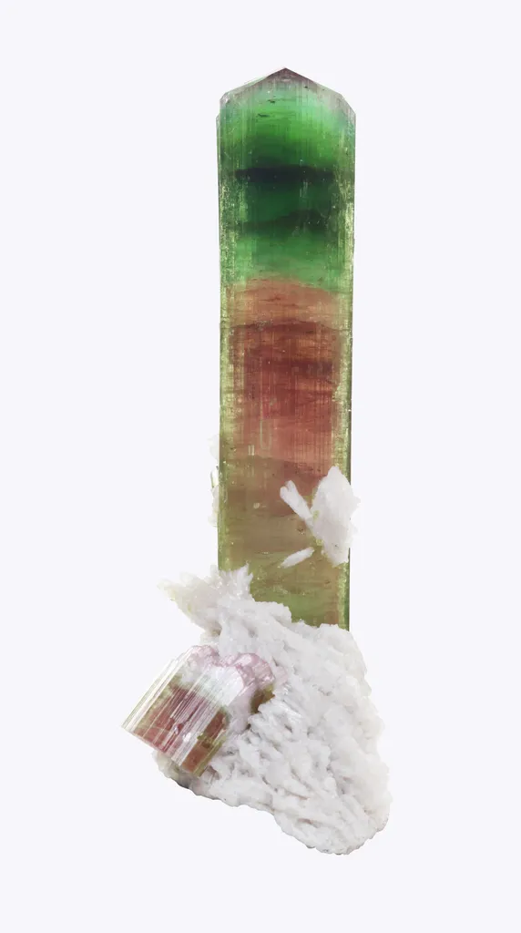 Tourmaline var. elbaite on Cleavelandite, Afghanistan, Nuristan, Paprok image