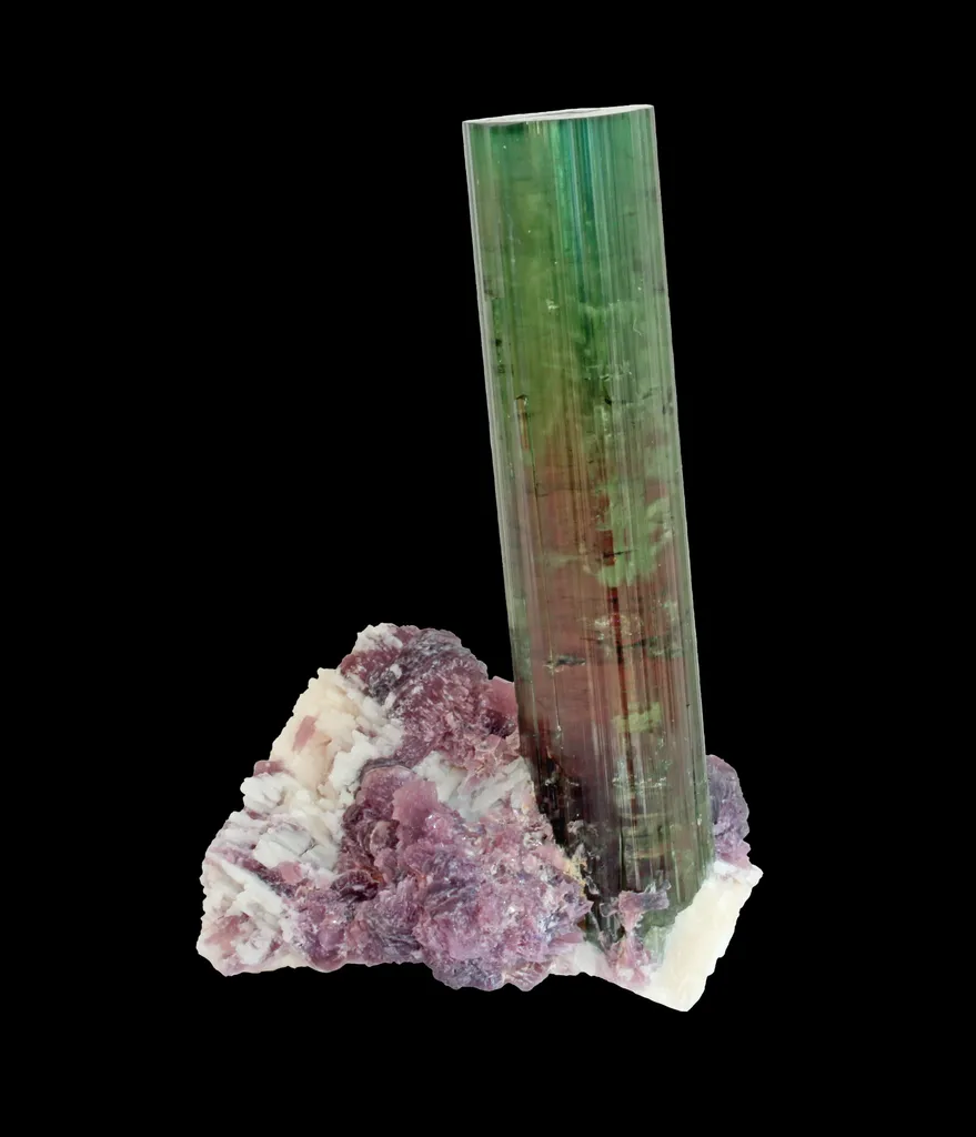 Tourmaline var. elbaite with Lepidolite, Brazil, Minas Gerais, São José da Safira, Chiá mine image
