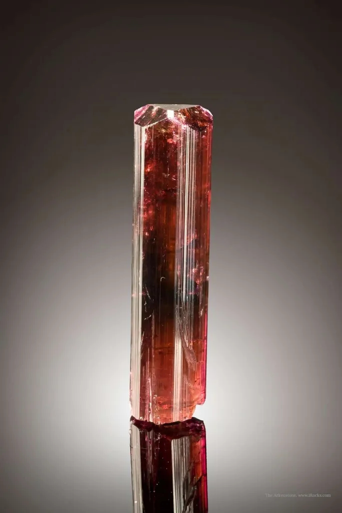 Tourmaline Var Liddicoatite image