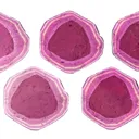 Tourmaline Var. Liddicoatite - image 4