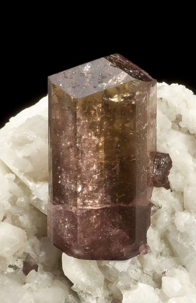 Tourmaline Var. Liddicoatite on Quartz & Clevelandite - image 3