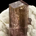 Tourmaline Var. Liddicoatite on Quartz & Clevelandite - image 3
